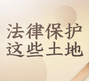 别让土地白白流失！这4类人的土地受法律保...