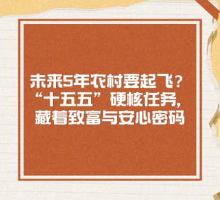 未来5年农村要起飞？“十五五”硬核任务，...
